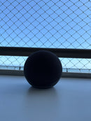 Alexa Echo Dot (Geração mais recente)